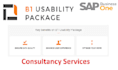 do anything in boyum IT usability package sap b1