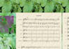 transcribe your audio to sheet music