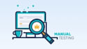 write manual and API testcases and execute those testcases