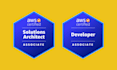 be your AWS certified solutions architect devops engineer