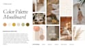 design a cohesive color palette and mood board