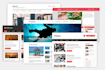 do wordpress customization or wordpress theme customization