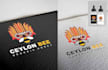 create personal branding logo and business designs