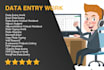 be your data entry and virtual assistant for business tasks