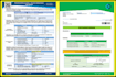arrange and redesign word documents in a format professionally