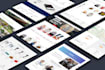 design business and ecommerce wordpress website