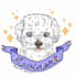 draw your pet in a cute style