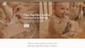 build shopify website, design or redesign shopify store