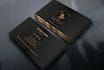 do 2 professional   business card design within 4 hours