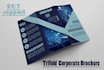 design professional trifold brochure and corporate flyer