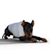 make clothes virtual pets such daz dog eight
