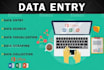 be your virtual assistant for data entry, copy paste,