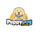 create a trendy animal and pet logo for business