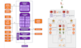 write software requirement specifications srs, technical documentation