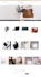 design and customize shopify theme and develop custom apps