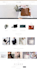 design and customize shopify theme