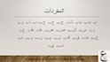 be your arabic teacher, tutor, online lessons