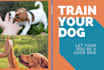 write an eye catching article and blog about dogs