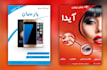 design professional flyers and posters