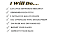 do amazon listing optimization and SEO optimized product listing copywriting