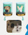 draw your portrait in futurama head