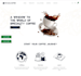 design your shopify store