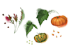 create custom botanical illustrations