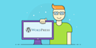 help you with wordpress