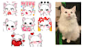create custom emotes and  sub badges