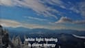 offer you a strong white light healing