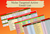 provide niche targeted active email list