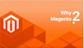 fix any magento 2 issues,bugs fix,paypal, expert magento 2