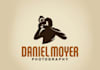 make an professional logo for you