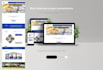 do professional web or mobile UI UX design