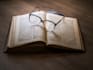 write a summary or description of your book