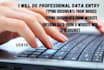 do professional business data entry