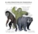 draw criptozoological beings and classic monsters
