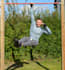 be your online personal trainer for sustainable results
