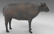 create low poly 3d models