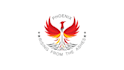 create attractive custom logo animation