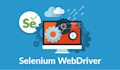 do web automation using selenium python