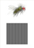 create amazing animated optical illusions