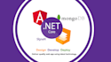 develop custom and flexible web app