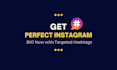 set up and optimize your instagram bio professionally