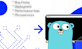 develop scalable and fast golang applications