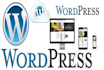 develop fully responsive wordpress website in  a few hours