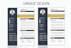 design professional cv, resume and cover letter
