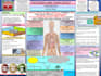 design ppt presentation and ppt slides with the infographic
