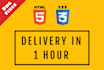fix html, css, bootstrap, responsive issues within 1hr