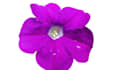 edit product pictures background for amazon